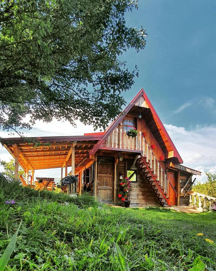 Log Cabin Uvac Nova Varos Bagian luar foto