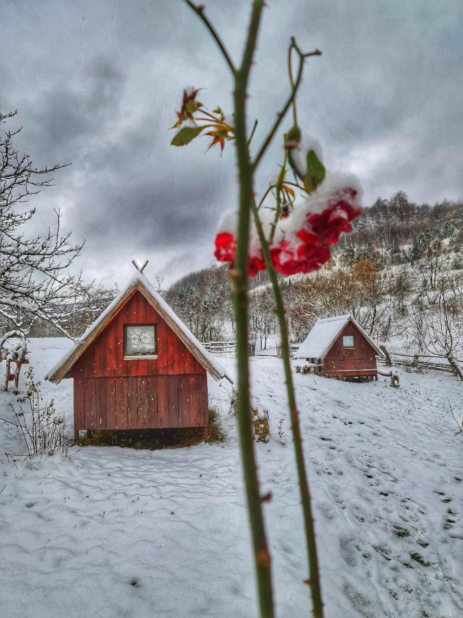 Log Cabin Uvac Nova Varos Bagian luar foto