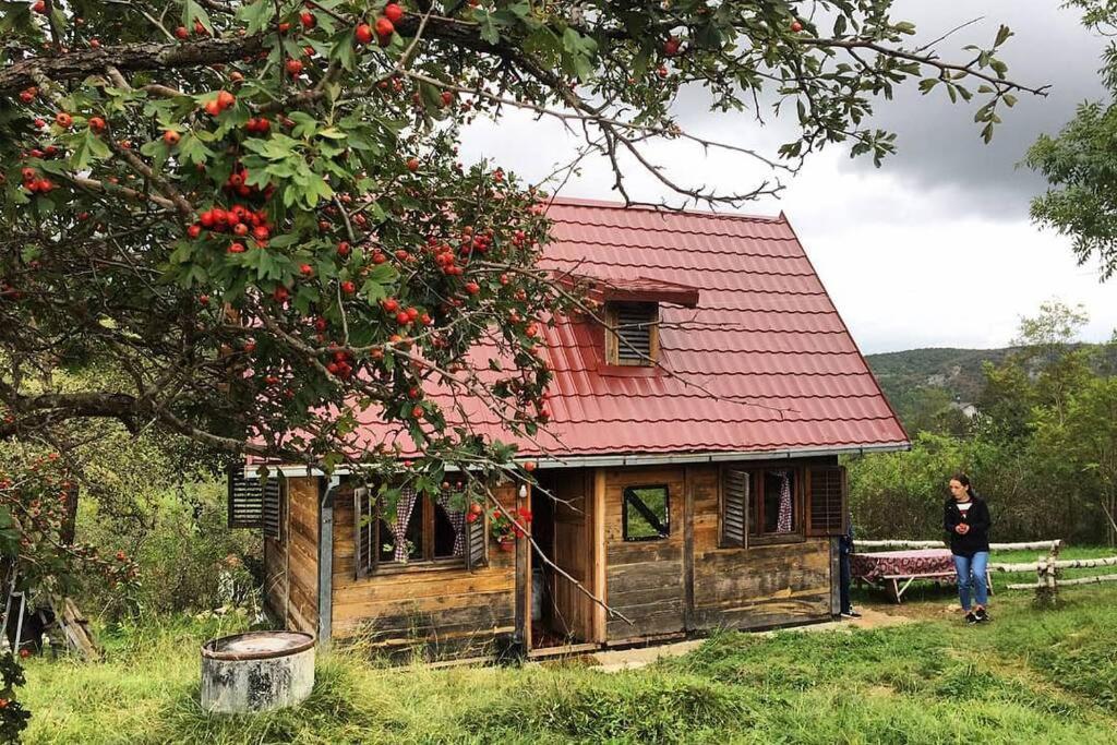 Log Cabin Uvac Nova Varos Bagian luar foto
